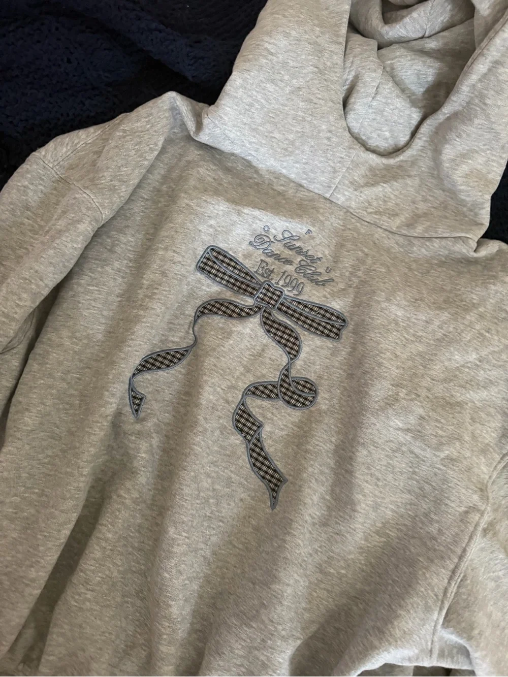 UO Gray Hooded Sweatshirt with Embroidered Bow